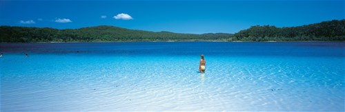 Sunshine Coast Supreme